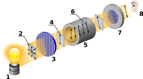 Optische Aktivität – Wikipedia